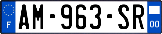 AM-963-SR