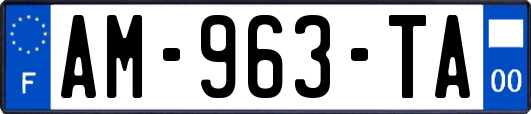 AM-963-TA