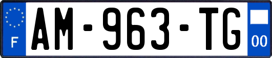 AM-963-TG