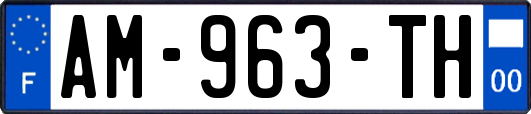 AM-963-TH