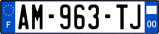 AM-963-TJ