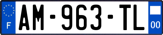 AM-963-TL