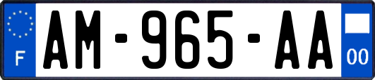 AM-965-AA