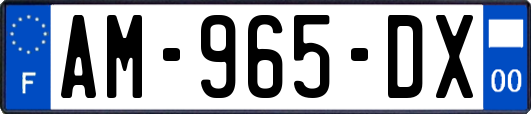 AM-965-DX