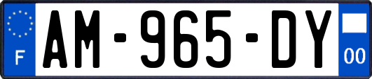 AM-965-DY