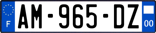 AM-965-DZ