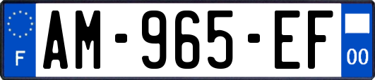 AM-965-EF