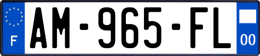 AM-965-FL