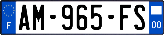 AM-965-FS
