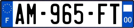 AM-965-FT