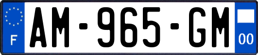 AM-965-GM