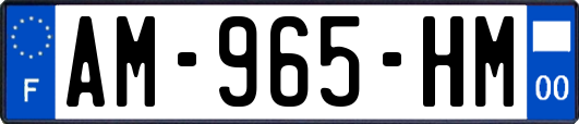 AM-965-HM
