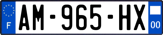 AM-965-HX