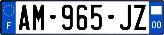 AM-965-JZ