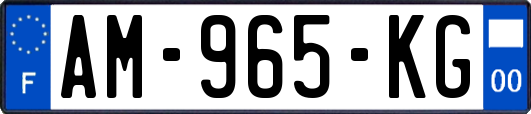 AM-965-KG