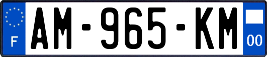 AM-965-KM