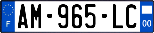 AM-965-LC