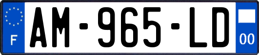 AM-965-LD