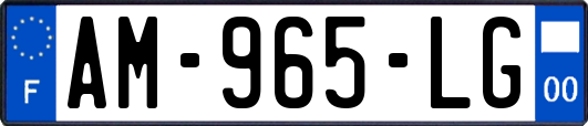 AM-965-LG