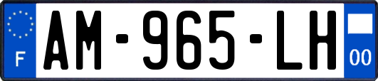 AM-965-LH