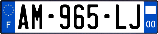 AM-965-LJ