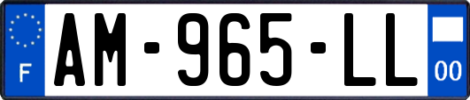 AM-965-LL