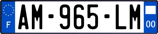 AM-965-LM