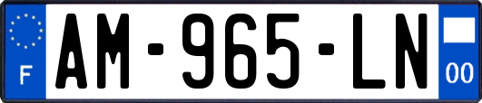 AM-965-LN
