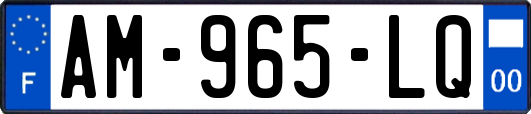AM-965-LQ