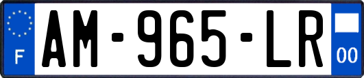 AM-965-LR