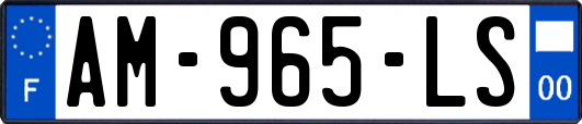 AM-965-LS