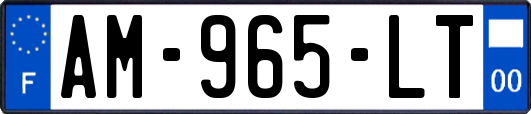 AM-965-LT