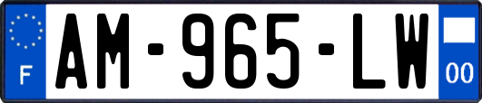 AM-965-LW