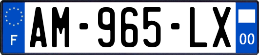 AM-965-LX