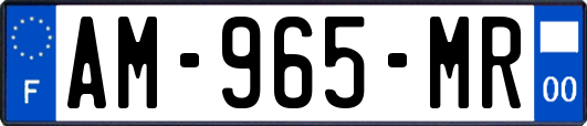 AM-965-MR