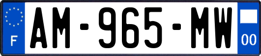 AM-965-MW