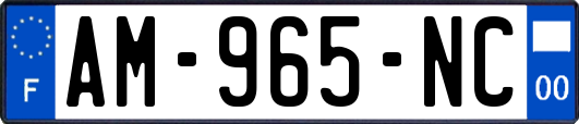 AM-965-NC