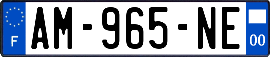 AM-965-NE