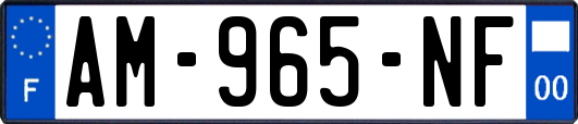 AM-965-NF