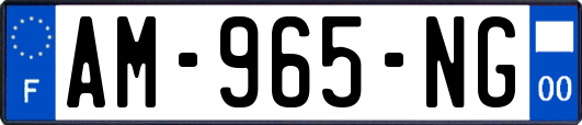 AM-965-NG