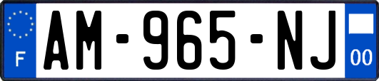 AM-965-NJ