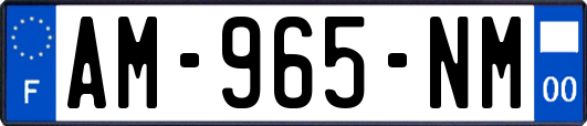 AM-965-NM