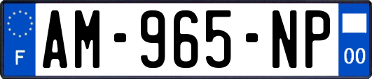 AM-965-NP