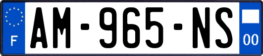 AM-965-NS