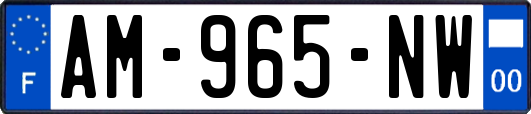 AM-965-NW