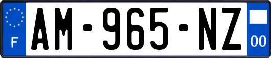 AM-965-NZ