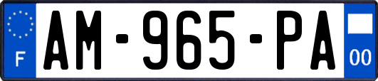 AM-965-PA