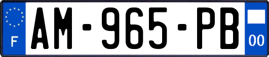 AM-965-PB