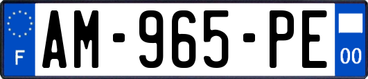 AM-965-PE