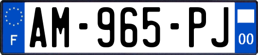 AM-965-PJ